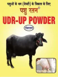 Vicky Pansari PASHU RATAN UDR-UP POWDER